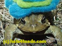 /home//u458753944/public_html/sourcegallery/////////////////////////Roxborough Toad Detour/2013-2019/2017/P3010559.JPG